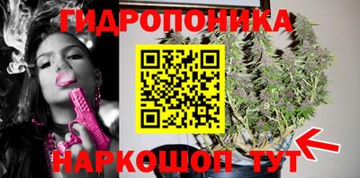 эйфоретик Коммунар