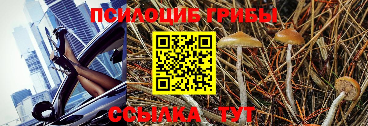 Псилоцибиновые грибы мухоморы Кемерово