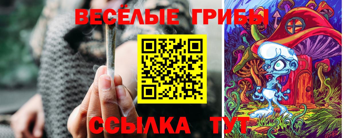 Кемерово  Псилоцибиновые грибы Psilocybe  Вход с VPN 